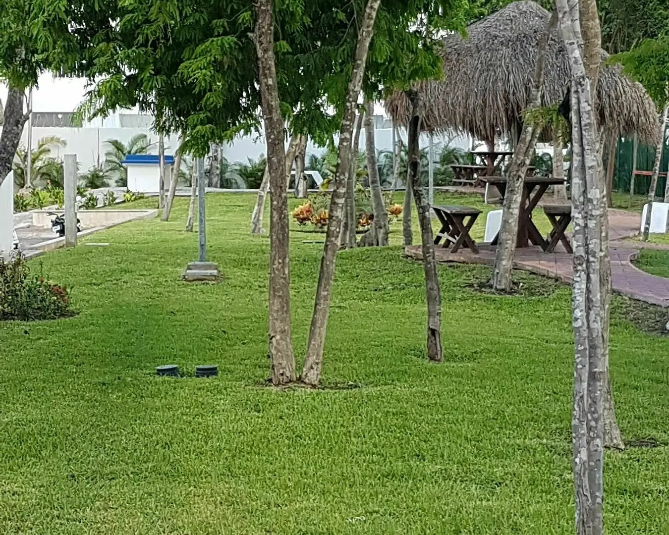 Suites Riviera Maya Playa del Carmen Hotel